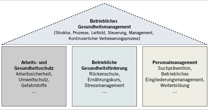 <p>
<span class="GVSpitzmarke"> Abb. 1 </span>
 Grundstruktur des BGM (nach Rimbach 2013)
</p>