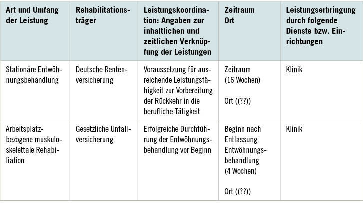 Tabelle 1:  Auszug Teilhabeplan (Eigene Darstellung nach Muster BAR [Hrsg.], Gemeinsame ­Empfehlung Reha-Prozess, „Zusammenfassung der Feststellungen, Teilhabeplan“