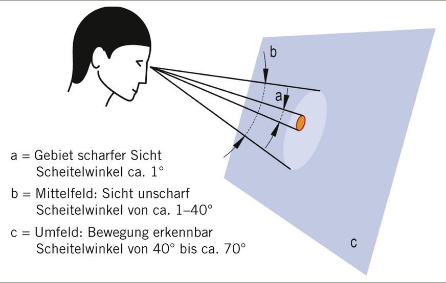 Abb. 4:  Schematische Darstellung des zentralen und peripheren Sehens (eigene Darstellung)