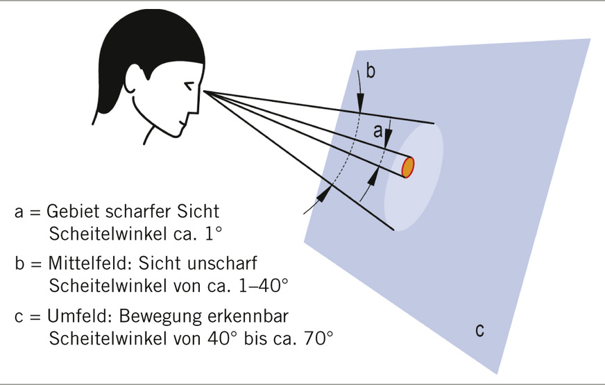Abb. 4: Schematische Darstellung des zentralen und peripheren Sehens (eigene Darstellung)