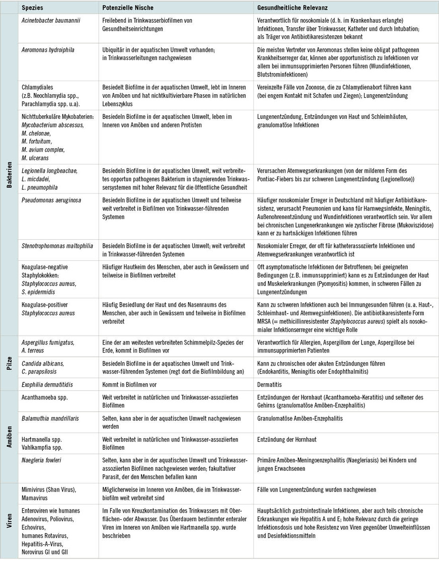 Tabelle 1:  Übersicht von Trinkwasser- und Trinkwasserbiofilm-assoziierten Mikroorganismen (aktualisiert nach Ashbolt 2015)