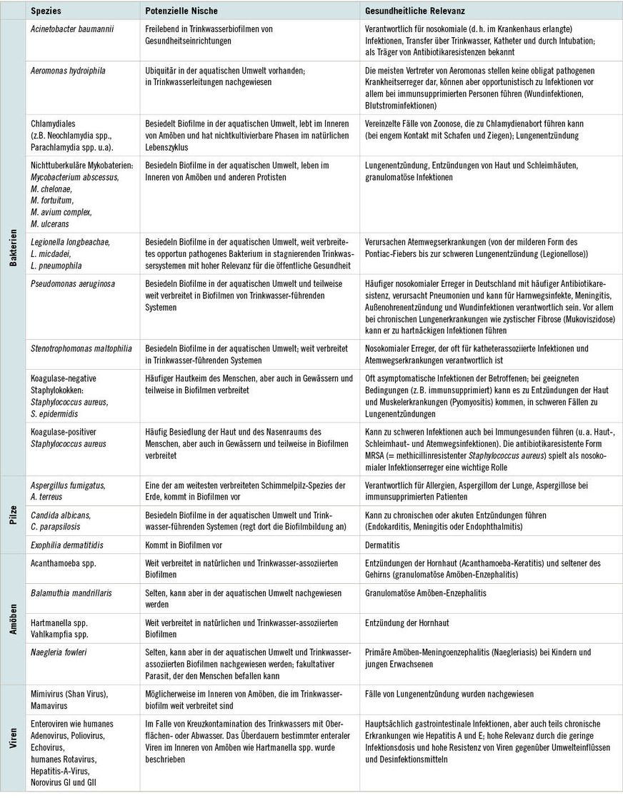 Tabelle 1: Übersicht von Trinkwasser- und Trinkwasserbiofilm-assoziierten Mikroorganismen (aktualisiert nach Ashbolt 2015)