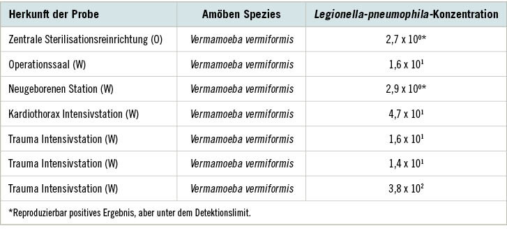 Tabelle 1: Quantitative und qualitative Ergebnisse der Amöben und Legionellen Polymerase Kettenreaktion