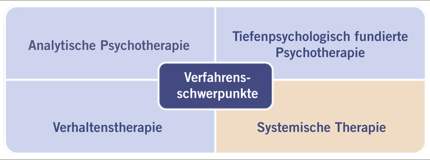 Abb. 3:  Verfahrensschwerpunkte in der psychotherapeutischen Regelversorgung
