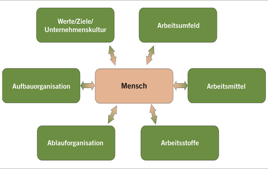 Abb. 2:  System der Einflussfaktoren (Quelle: Österreichische Akademie für Arbeitsmedizin und Prävention, AAMP)
