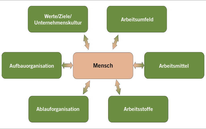 Abb. 2: System der Einflussfaktoren (Quelle: Österreichische Akademie für Arbeitsmedizin und Prävention, AAMP)