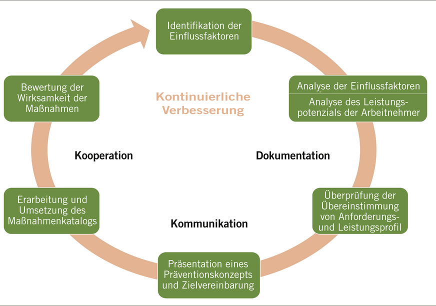Abb. 3:  Arbeitsmedizinischer Handlungsprozess (Quelle: Österreichische Akademie für ­Arbeitsmedizin und Prävention, AAMP)