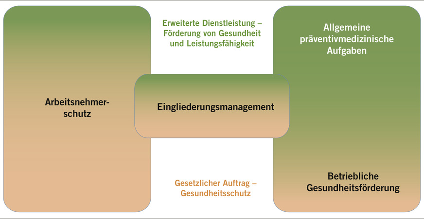 Abb. 4:  Aufgabenfelder von Arbeitsmedizinern (Quelle: Österreichische Akademie für ­Arbeitsmedizin und Prävention, AAMP)