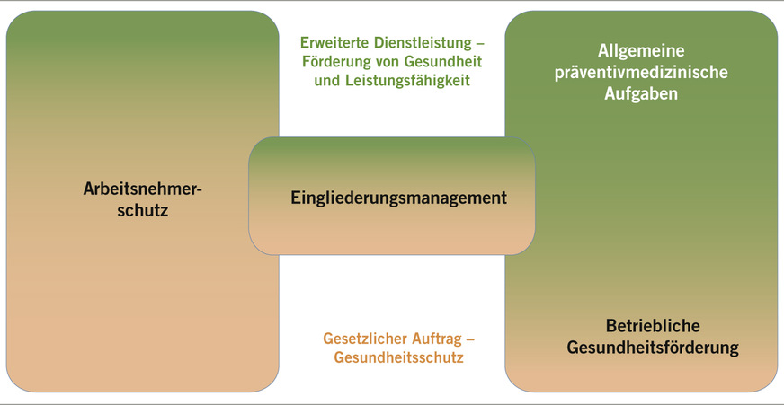 Abb. 4: Aufgabenfelder von Arbeitsmedizinern (Quelle: Österreichische Akademie für Arbeitsmedizin und Prävention, AAMP)
