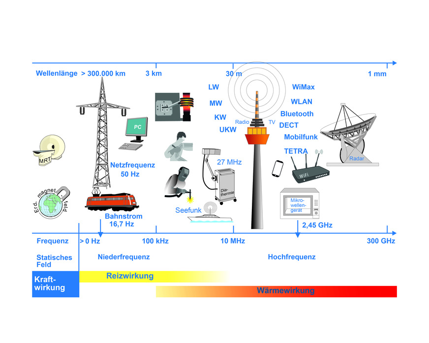 Abb.&nbsp;1: Spektrum EMFV (Quelle: BAuA)