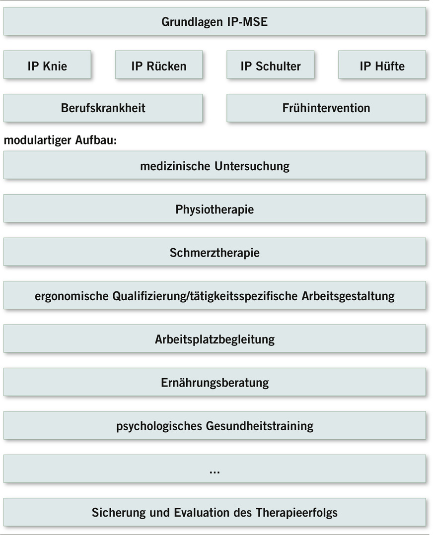 Abb. 2:  Prinzipielle Konzeption von MSE-IP-Programmen: gemeinsame Grundlagen, lokalisationsspezifische Beschreibungen, Differenzierung nach Zielgruppen (erkrankte Personen im Sinne der Berufskrankheit und Frühintervention bei belasteten Personengruppen), modulartiger Aufbau der Inhalte mit jeweiligen messbaren Evaluationsparametern (eigene Darstellung)