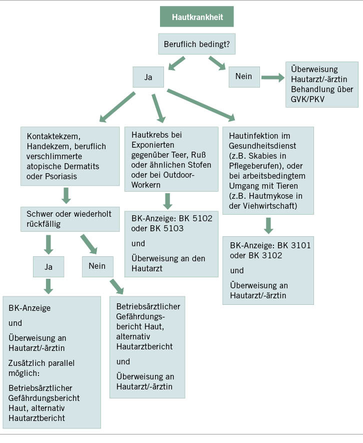 Abb. 1: Algorithmus für Management und Meldung arbeitsbedingter Erkrankungen in der betriebsärztlichen Praxis (in Anlehnung an Elsner u. Schliemann 2020)