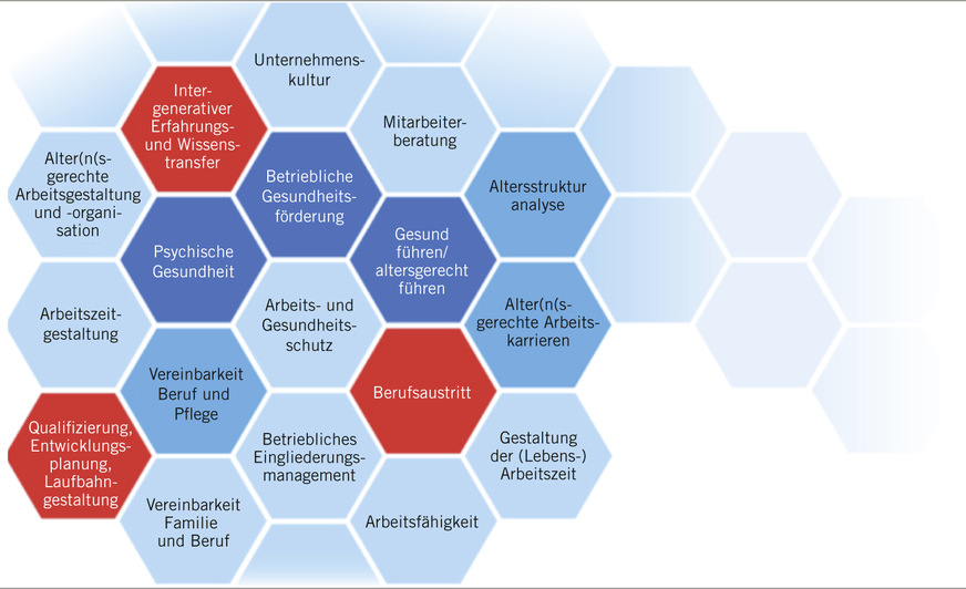 Abb. 2:  Ausgewählte Handlungsfelder und Themen (Quelle: Rimbach 2017)