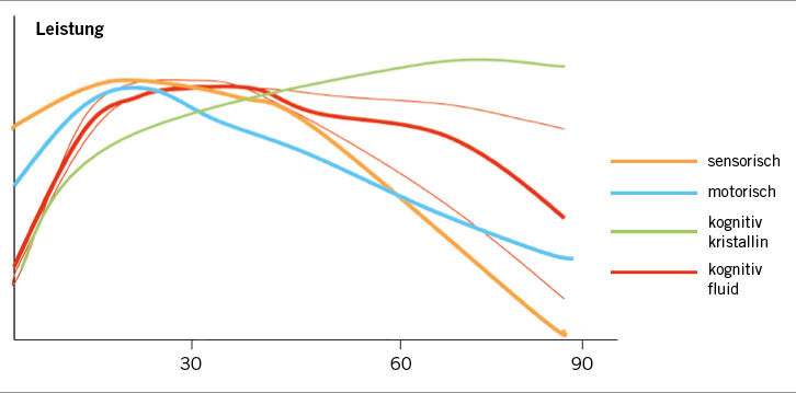 Abb. 1:  Funktionsveränderungen über die Lebensspanne. Sensorische (gelb) und motorische (blau) Funktionen lassen ab dem mittleren Lebensalter nach. Die kristalline Intelligenz (Wissen und Erfahrung, grün) kann im höheren Alter sogar noch steigen. Die fluide Intelligenz (rot) lässt im höheren Alter nach, allerdings mit großen individuellen Unterschieden (dünne rote Linien)