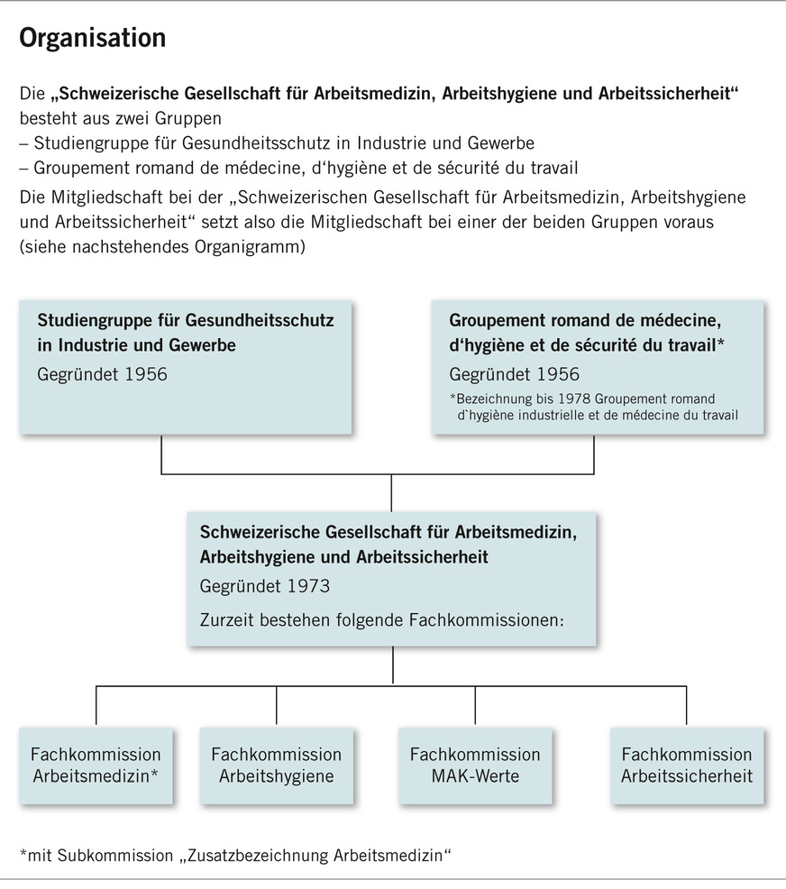 Abb. 1:  Organisation (eigene Darstellung)