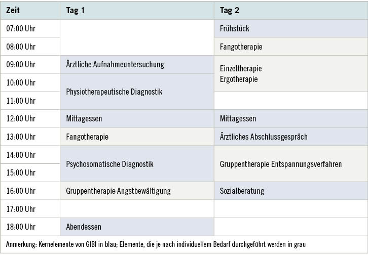 Tabelle 1:  Beispielplan ganzheitliches Teilhabe-Assessment Modellvorhaben GIBI