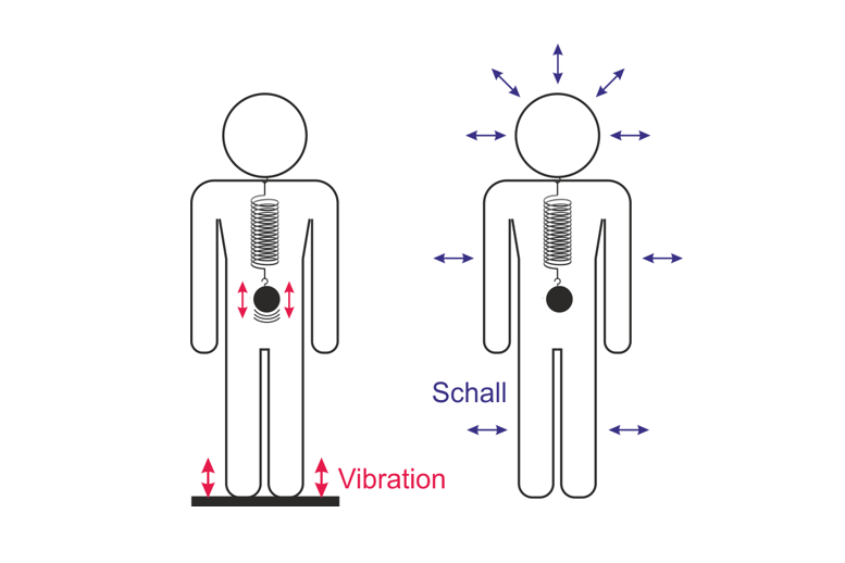 Abb. 5: Bei axialer Einleitung von Vibrationen erfährt der ganze Körper periodische Beschleunigungskräfte und elastisch aufgehängte Organe könnten in Schwingungen geraten. Tieffrequenter Schall drückt hingegen von allen Seiten gleichmäßig auf den Körper, die Kräfte heben sich dabei nahezu auf und der Körper und seine Innereien bleiben bis zu hohen Pegeln in Ruhe.