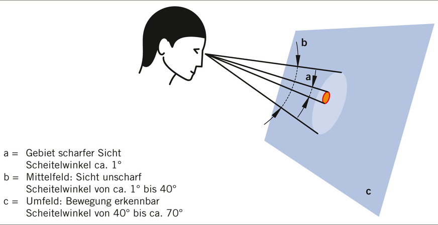 Abb. 3: Schematische Darstellung des zentralen und peripheren Sehens