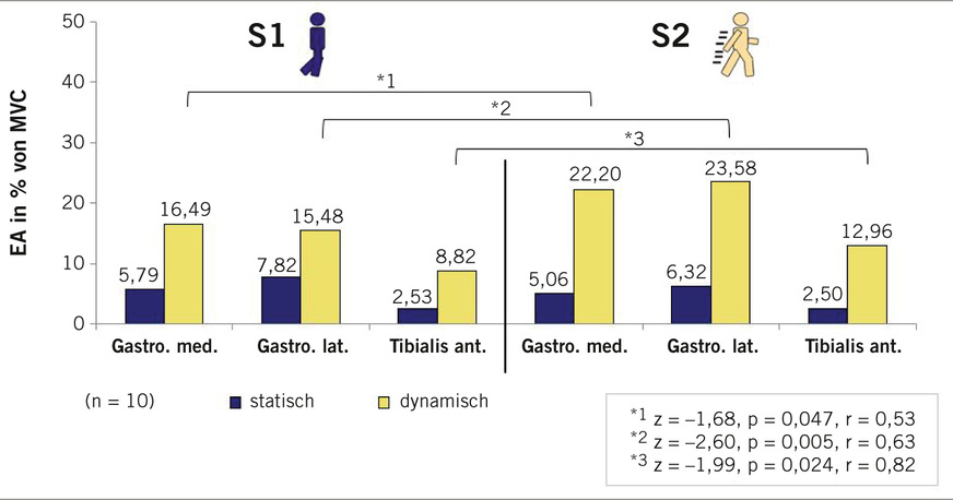 Abb. 3:  Darstellung der Mittelwerte der statischen und dynamischen Phasen für drei Muskeln (Mm. gastrocnemius medialis/lateralis, M. tibialis anterior) für S1 (links) und S2 (rechts) (Rücker et al. 2021)
