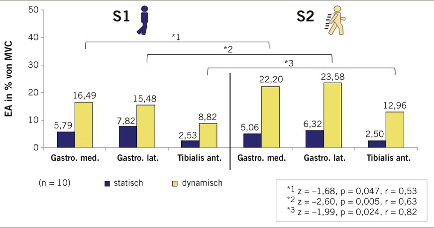 Abb. 3: Darstellung der Mittelwerte der statischen und dynamischen Phasen für drei Muskeln (Mm. gastrocnemius medialis/lateralis, M. tibialis anterior) für S1 (links) und S2 (rechts) (Rücker et al. 2021)