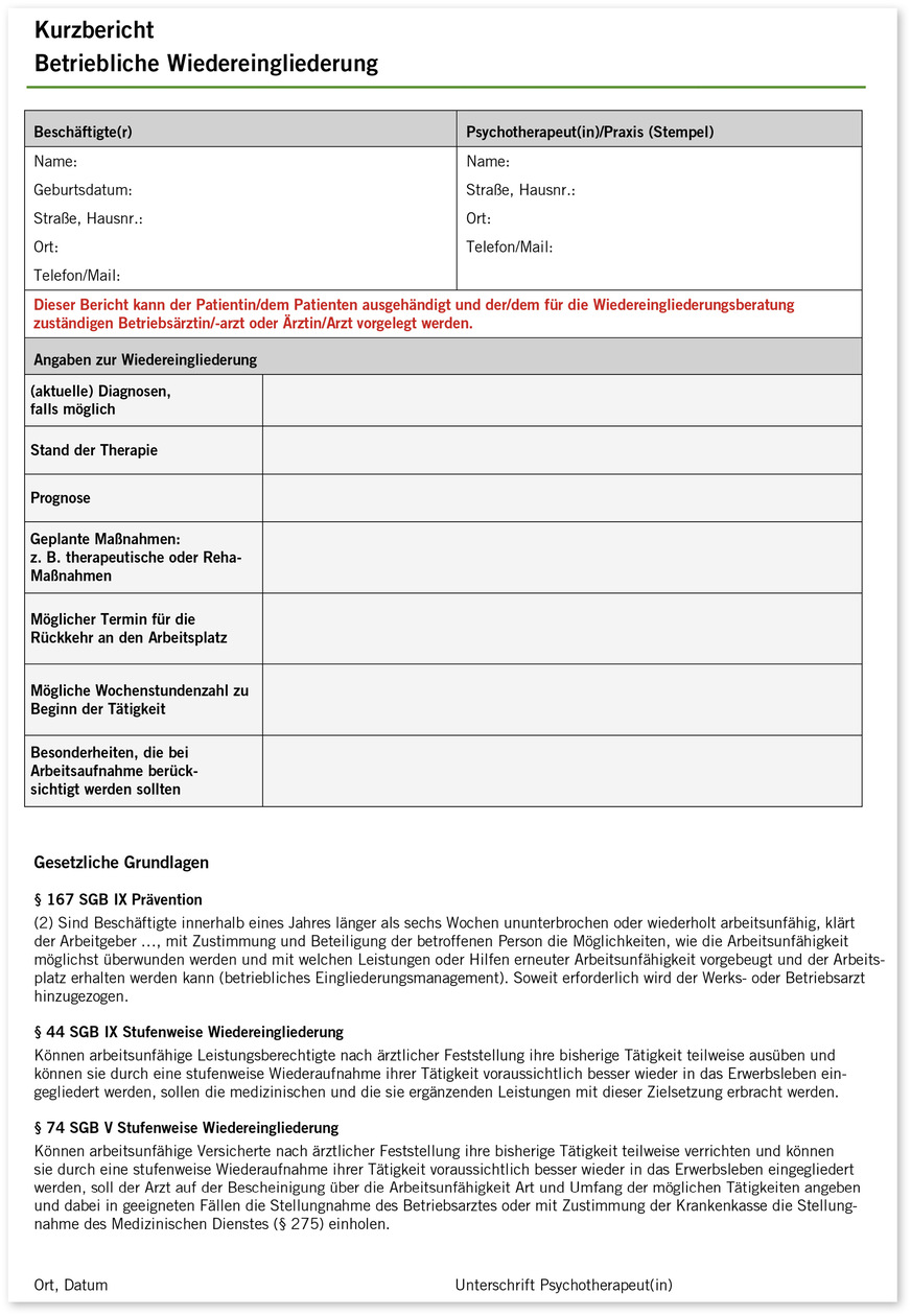 Abb. 2:  Formular Kurzbericht zur beruflichen Wiedereingliederung