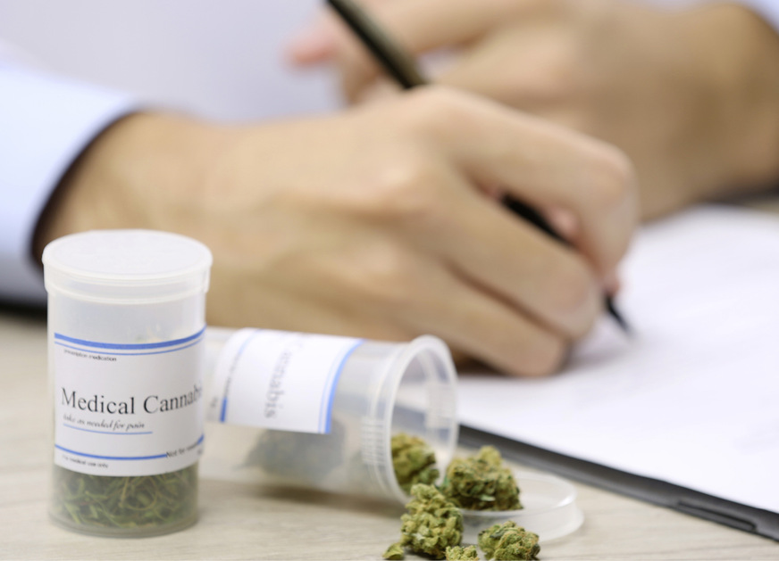 Unter Medizinal-Cannabis werden Zubereitungen aus Inhaltsstoffen der Hanfpflanze Cannabis Sativa L. zusammengefasst.