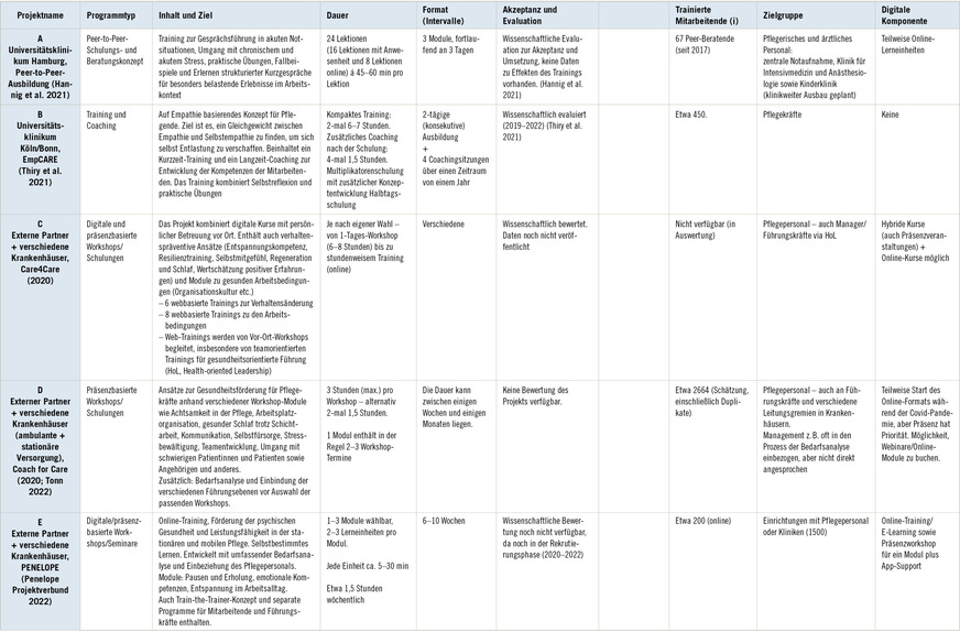 Tabelle 2:  Details zu den Programmen. (i) = Informationen aus dem Interview entnommenTable 2: Project programme details. (i) = Information from interviewing