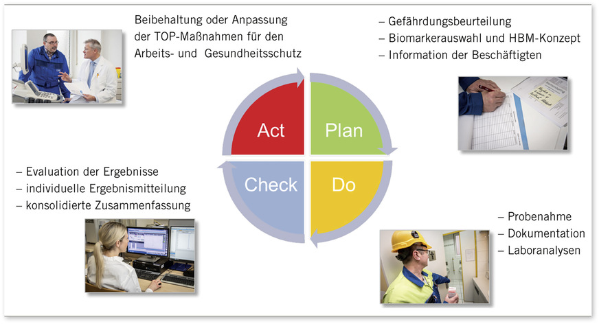 Abb. 1:  Plan-Do-Check-Act-(PDCA-)Zyklus für das Human-Biomonitoring in der arbeitsmedizinischen Vorsorge und Wirksamkeitskontrolle (Quelle: BASF SE)