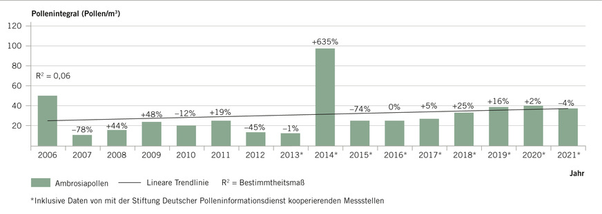 Abb.&nbsp;3:  Übersicht über die mittlere in Deutschland an verschiedenen Messstationen pro Jahr gemessene Zahl an Ambrosiapollen mit Trendlinie. ­Prozentangaben zeigen die jeweilige Veränderung gegenüber dem Vorjahr an. Der Anstieg lässt sich an der Trendlinie erkennen (Quelle: Stiftung Deutscher Polleninformationsdienst 2023)