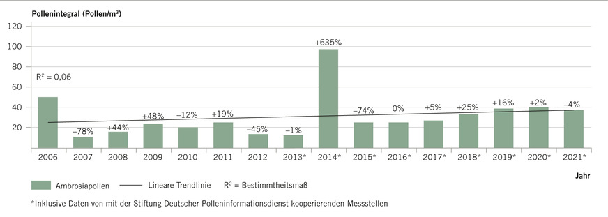Abb. 3:  Übersicht über die mittlere in Deutschland an verschiedenen Messstationen pro Jahr gemessene Zahl an Ambrosiapollen mit Trendlinie. ­Prozentangaben zeigen die jeweilige Veränderung gegenüber dem Vorjahr an. Der Anstieg lässt sich an der Trendlinie erkennen (Quelle: Stiftung Deutscher Polleninformationsdienst 2023)