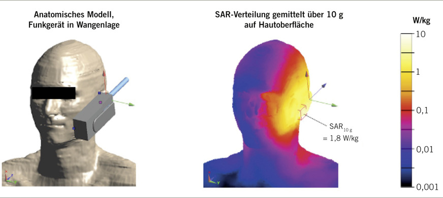 Abb. 4:  Links: Anatomisches Körpermodell mit Handsprechfunkgerät in Wangenlage. Rechts: Über 10&nbsp;g gemittelte SAR-Verteilung an der Hautoberfläche. Die Sendeleistung betrug 1&nbsp;W, das würfelförmige Mittelungsvolumen des maximalen SAR-Werts ist rot eingezeichnet (Quelle: Forschungsvorhaben „Exposition durch in Deutschland verwendete TETRA-Endgeräte“, Christof Bodendorf, https://doris.bfs.de/jspui/handle/urn:nbn:de:0221- 2013062410893)