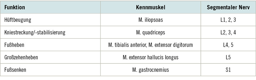 Tabelle 2: Funktionen der unteren Extremität mit Kennmuskeln und segmentaler Innervation