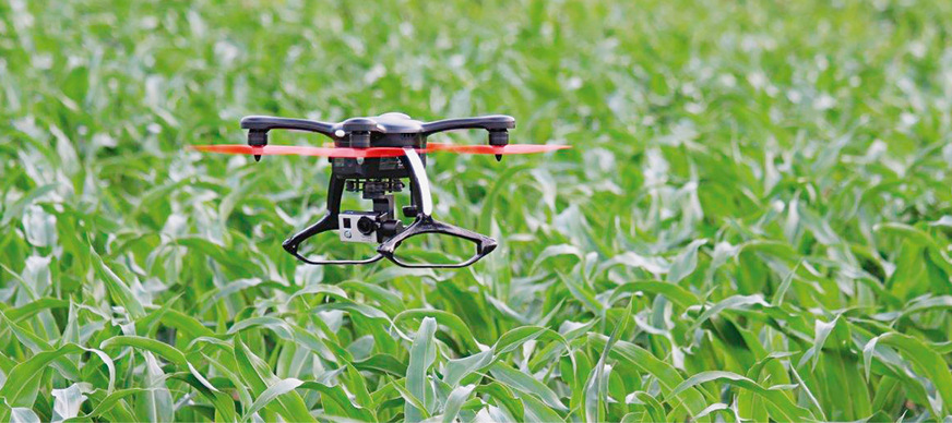 Drohne zur Feldüberwachung