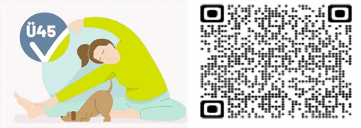 Abb. 1:  Zugang zum digitalen Ü45-Check (https://www.deutsche-rentenversicherung.de/DRV/DE/Praevention/ue45_check/ue45-check.html)