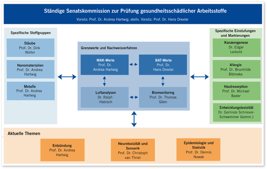 Abb. 1:  Aufbau und Arbeitsgruppen der MAK-Kommission (s. auch Online-Quellen)