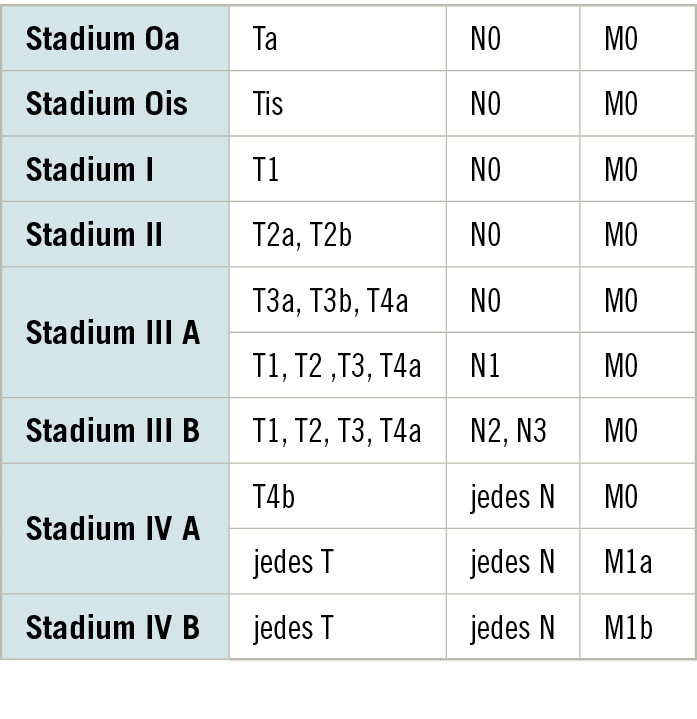 Tabelle 2:  Stadieneinteilung des Harnblasenkarzinoms (AWMF 2025)