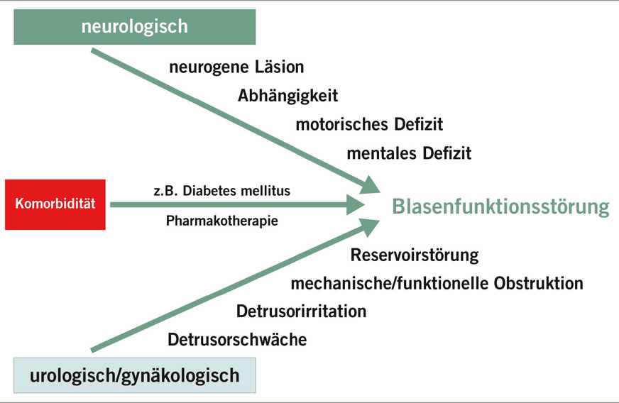 Abb. 2:  Ursachen von Blasenfunktionsstörungen (eigene Darstellung)