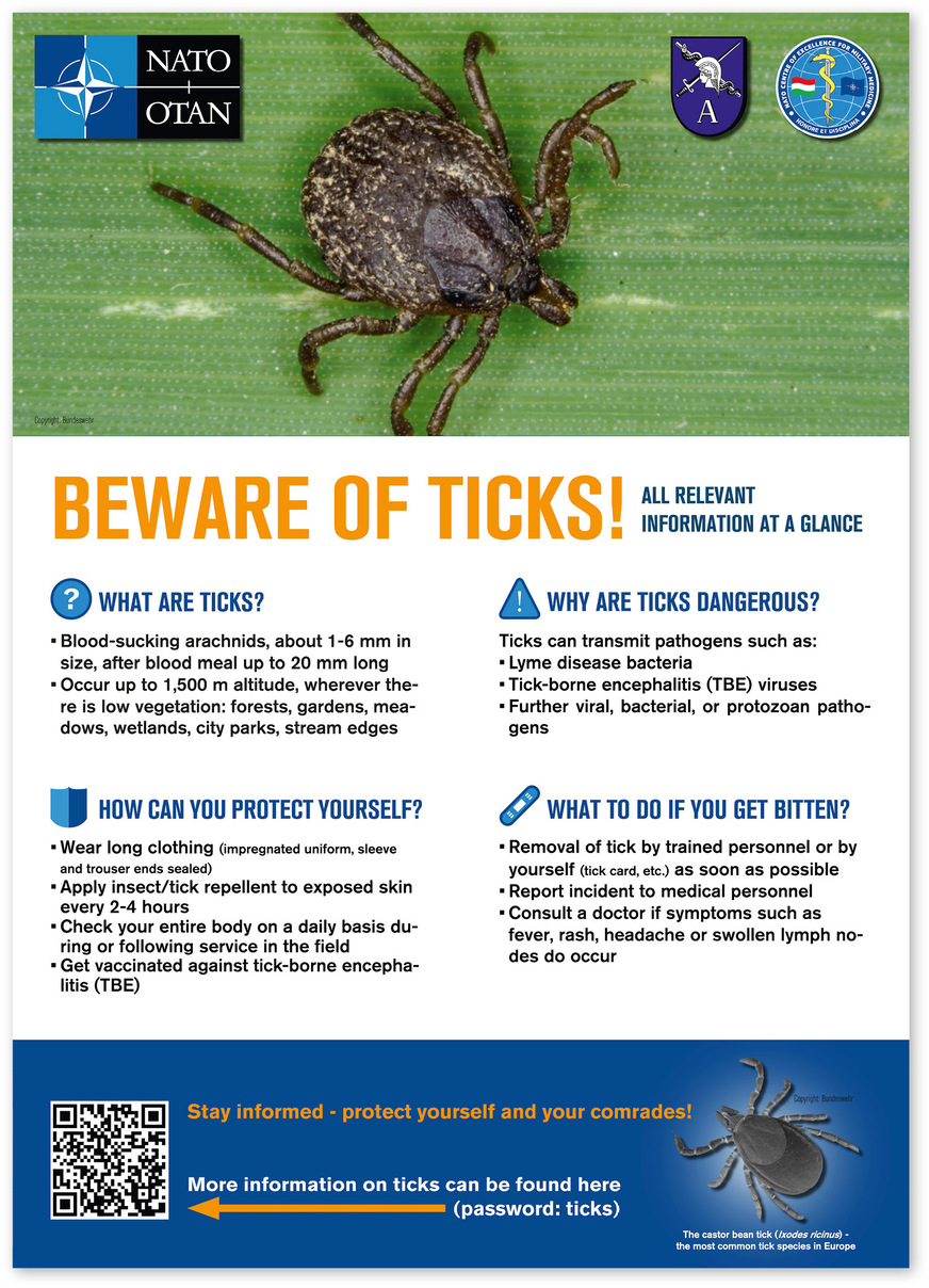 Abb. 5:  Ein weiteres Element des Kommunikationskonzeptes. In Ergänzung zu der englischen Version des InfektInfo Nr. 90 sowie des Merkblatts wurde ein Poster erstellt, das alle wesentlichen Informationen zu Zecken und zum Schutz vor Infektions­erregern umfasst
