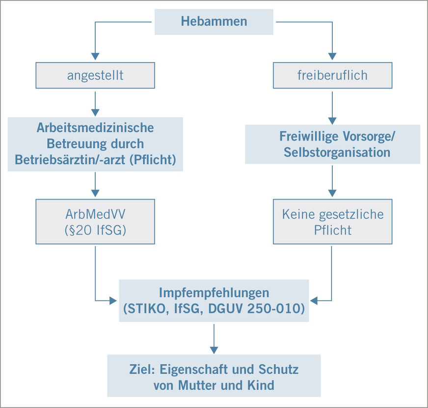 Abb.&nbsp;1:  Arbeitsmedizinische Rahmenbedingungen für Hebammen in Deutschland – Schematische Übersicht der Zuständigkeiten und gesetzlichen Grundlagen