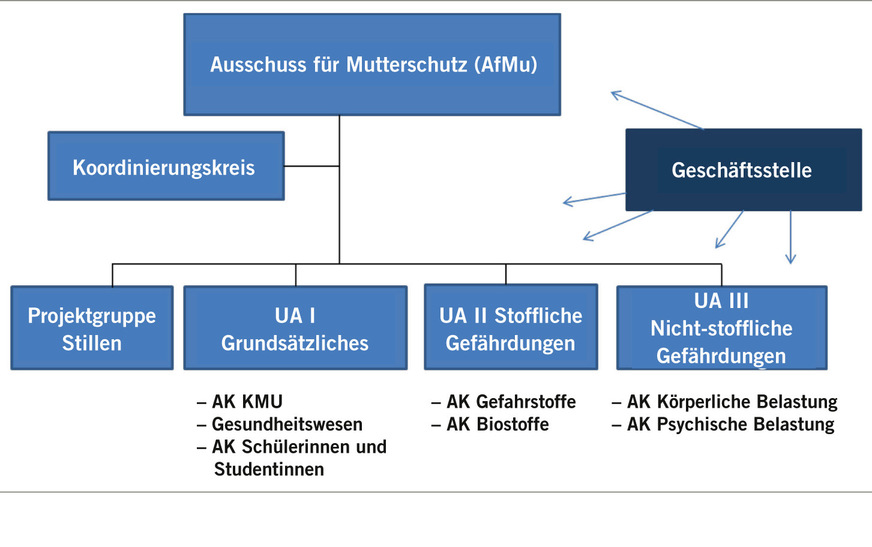 Die Struktur des Ausschusses für Mutterschutz (eigene Darstellung)