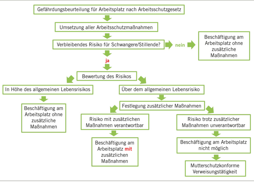 Abb.&nbsp;1:  Anlassunabhängige Gefährdungsbeurteilung Mutterschutz (eigene Darstellung)