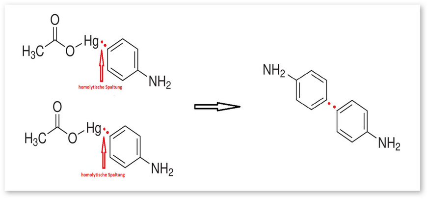 Abb.&nbsp;2:  Benzidinentstehung aus 4-Aminophenylquecksilberacetat