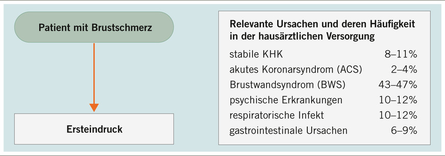 Abb. 5:  Ursachen des akuten Brustschmerzes in der Allgemeinarztpraxis nach Häufigkeit (%). Quelle: Brustschmerz (DEGAM-Leitlinie 11/2024)