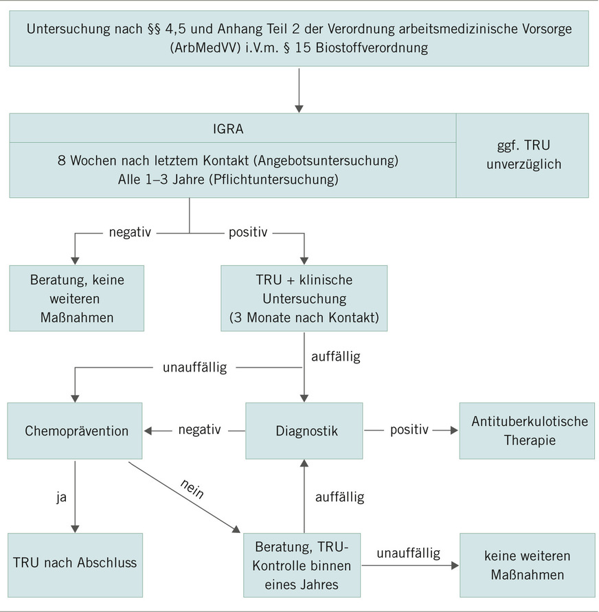 Abb.&nbsp;3:  Empfehlung zur betriebsärztlichen Beratung und Untersuchung nach TB-Kontakt (in Anlehnung an die DZK-Empfehlungen, 2023)