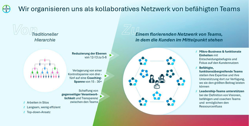 Abb. 2:  DSO – Bildung kollaborativer Netzwerke von befähigten Teams (eigene Darstellung)