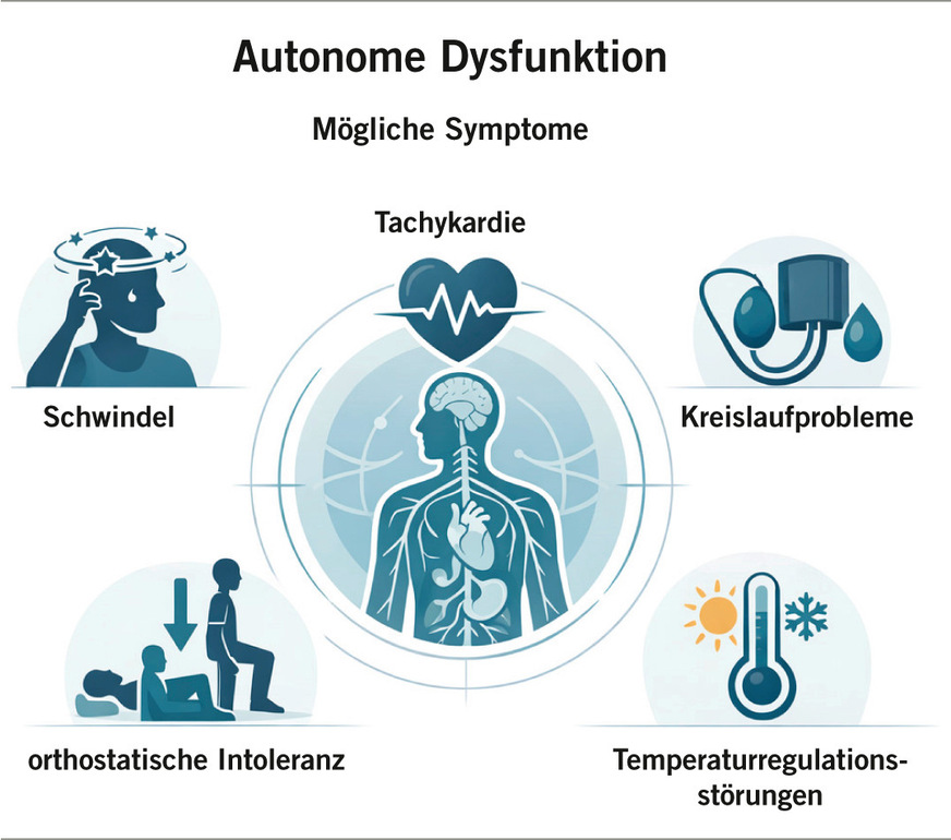 Abb.&nbsp;2:  Schematische Darstellung häufiger Symptome einer autonomen Dysfunktion bei ME/CFS. Die Beteiligung des autonomen Nervensystems kann sich unter anderem durch orthostatische Intoleranz, Tachykardie, Schwindel, Kreislaufprobleme sowie Störungen der Thermoregulation äußern