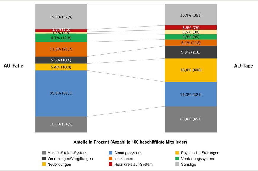 Abb. 2:  Arbeitsunfähigkeit – AU-Kennzahlen der beschäftigten Mitglieder: Verteilung der ­wichtigsten Diagnosehauptgruppen (Berichtsjahr 2025). Quelle: BKK Dachverband e.V.