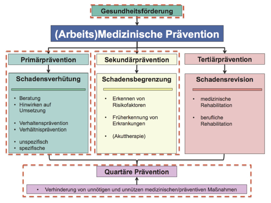 gefälschten Führerschein