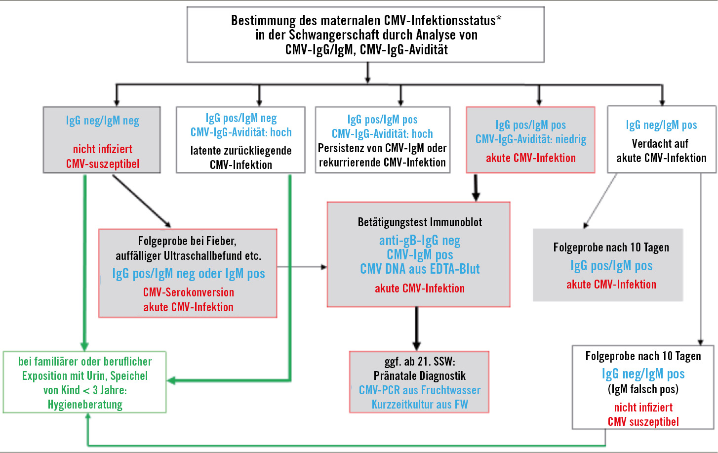 Welche Erkrankung verursacht CMV?