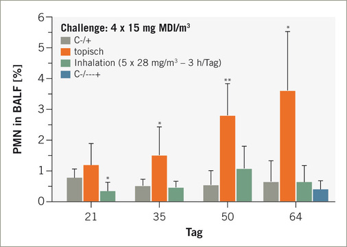 Brown-Norway-Ratten wurden, wie in der Abb. 1 skizziert, epikutan sensibilisiert (Pauluhn et al. 2005; Pauluhn 2008). Nach jedem inhalativen Challenge erfolgen Lungenfunktionsprüfungen in barometrischen Ganzkörper-
plethysmographen über 20 Stunden. Penh, ein Derivat der Apnoedauer, zeigt reversible, verzögert auftretenden Veränderungen der Lungenfunktion mit einem Maximum ca. 3–5 Stunden post-challenge auf. Mit jeder Challenge-
exposition nahm die Stärke der Reaktion zu. Die korrespondierende zeitabhängige Zunahme der neutrophilen Granulozyten (PMN) in der BAL-Flüssig-
keit ist in im Balkendiagramm wiedergegeben. Ratten, die an fünf aufeinanderfolgenden Tagen mit 28 mg/m³ für 3 Stunden (5040 mg/m³ x min) 
inhalativ sensibilisiert wurden zeigten im Vergleich zu den epikutan induzierten 
Ratten keine signifikanten Veränderungen. Kontrolltiere wurden an allen Provokationstagen (C-/+) oder nur am letzten Provokationstag (C-/---+) identisch provoziert (ca. 15 mg MDI/m³, 450 mg/m³ x min). Eine zeitabhängige Exazerbation im Sinne einer allergisch-entzündlichen Veränderung war nur bei den epikutan induzierten Ratten feststellbar

Fig. 2: Brown-Norway rats were topically sensitized as illustrated in Fig. 1 (Pauluhn et al. 2005; Pauluhn 2008). After each inhalation challenge rats were examined in barometric whole-body plethysmographs for 20 hours post-challenge. Penh, which is a derivation of the apnea time, shows reversible changes in lung function delayed in onset with a maximum occurring approximately 3–5 hours post-challenge. After each inhalation challenge this 
reaction was aggravated. There was a corresponding time-related increase in neutrophilic granulocytes (PMN) in BAL-fluid which is summarized in the bar chart. Rats exposed repeatedly by inhalation on 5 consecutive days to 28 mg/m³ for 3 hours/day (5040 mg/m³ x min) did not demonstrate any of the changes observed in epicutaneous sensitized rats. Control rats (C-/+) were challenged similarly or on the last day only (C-/---+) (15 mg MDI/m³, 450 mg/m³ x min). A time-related aggravation of the allergic-inflammatory changes were restricted to the epicutaneously induced rats only